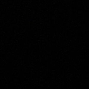 Meet your Posher, Neila